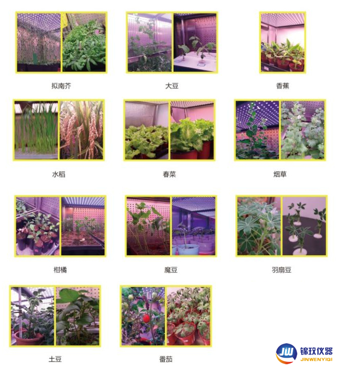 案例01 案例01